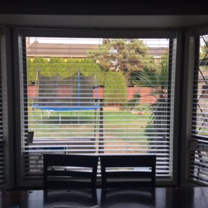 Best Window Blinds and Shades